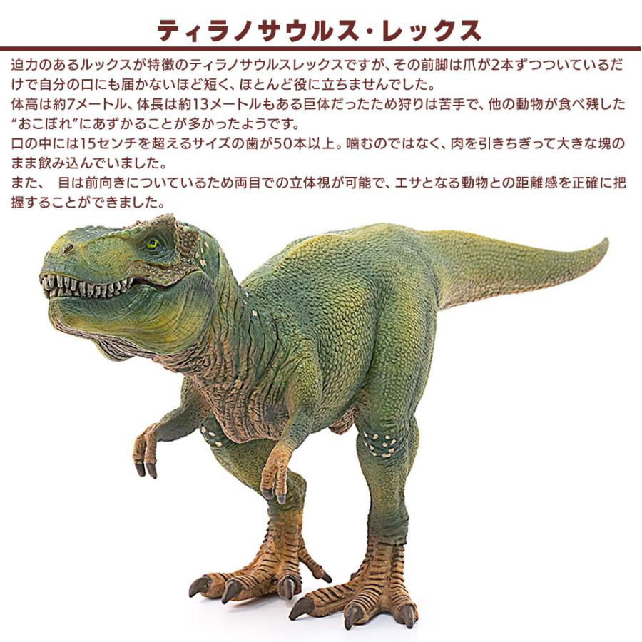 shieich シュライヒ 恐竜 ティラノサウルス・レックス フィギュア 14525 |  | 02