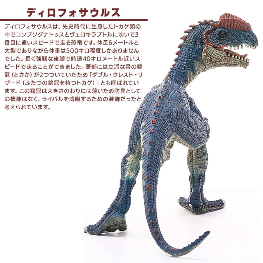 shieich シュライヒ 恐竜 ディロフォサウルス フィギュア 14567 |  | 02