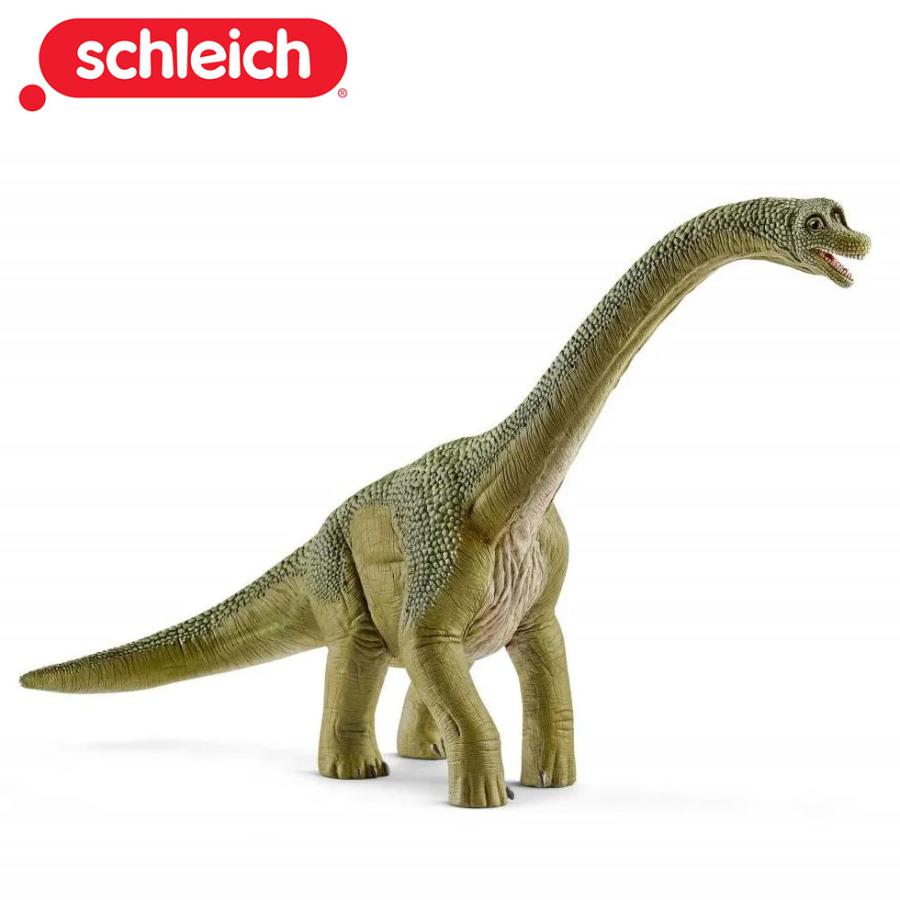 shieich シュライヒ 恐竜 ブラキオサウルス フィギュア 14581 | 