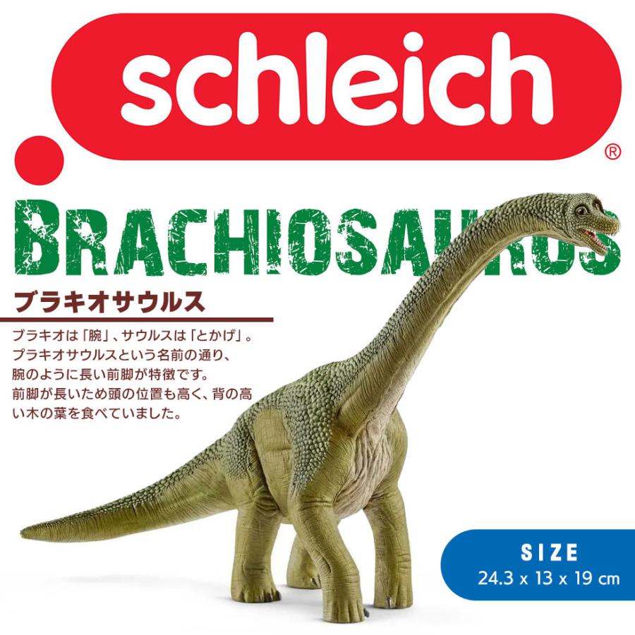 shieich シュライヒ 恐竜 ブラキオサウルス フィギュア 14581 |  | 01