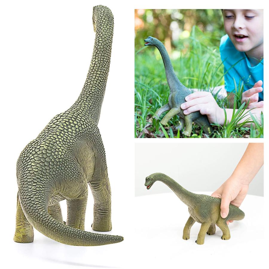 shieich シュライヒ 恐竜 ブラキオサウルス フィギュア 14581 |  | 04