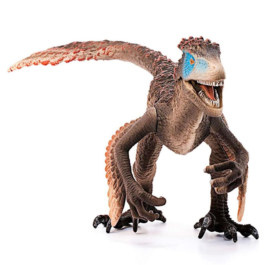 shieich シュライヒ 恐竜 ユタラプトル フィギュア 14582 |  | 02