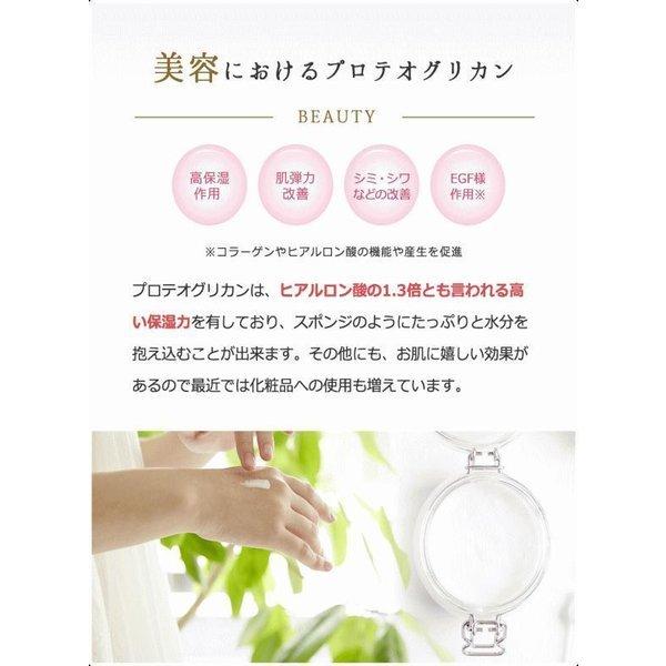 コスメプロ プロテオグリカン原液 105ml ネット限定 105ml