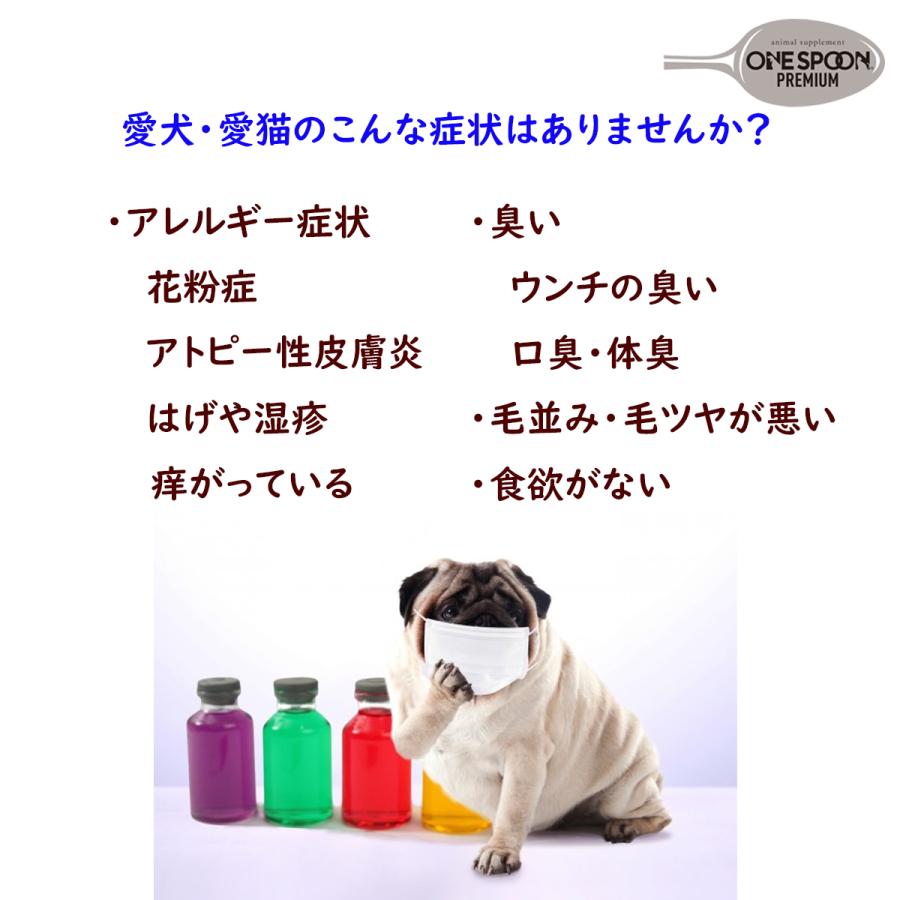 犬 猫 サプリ 無添加 国産 ドライフード 菌 腸内ケア 健康食品 ONESPOON PREMIUM 4袋  セット割｜hellomart｜03