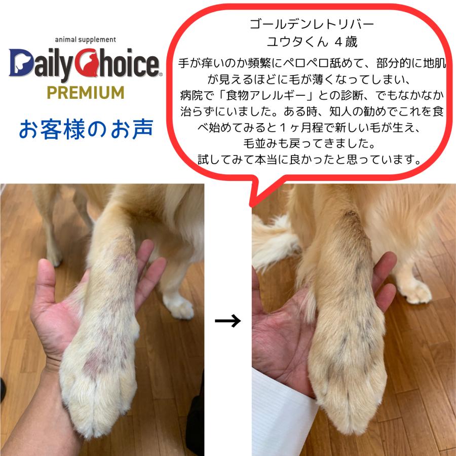 犬 猫 フード 腸活 サプリ 免疫力 爆買 うんち臭い 口くさい ディリーチョイス 腸内ケア ねこ ペット ハローマート | ブランド登録なし | 08