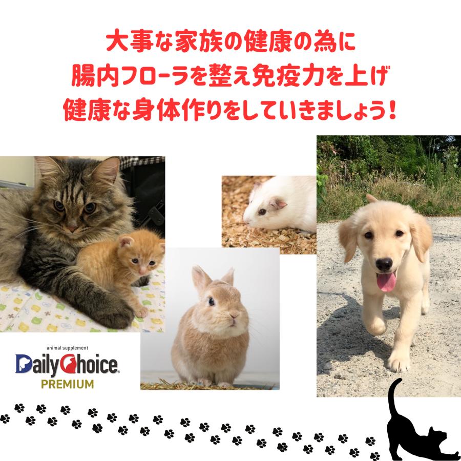 犬 猫 フード 腸活 サプリ 免疫力 爆買 うんち臭い 口くさい ディリーチョイス 腸内ケア ねこ ペット ハローマート | ブランド登録なし | 06