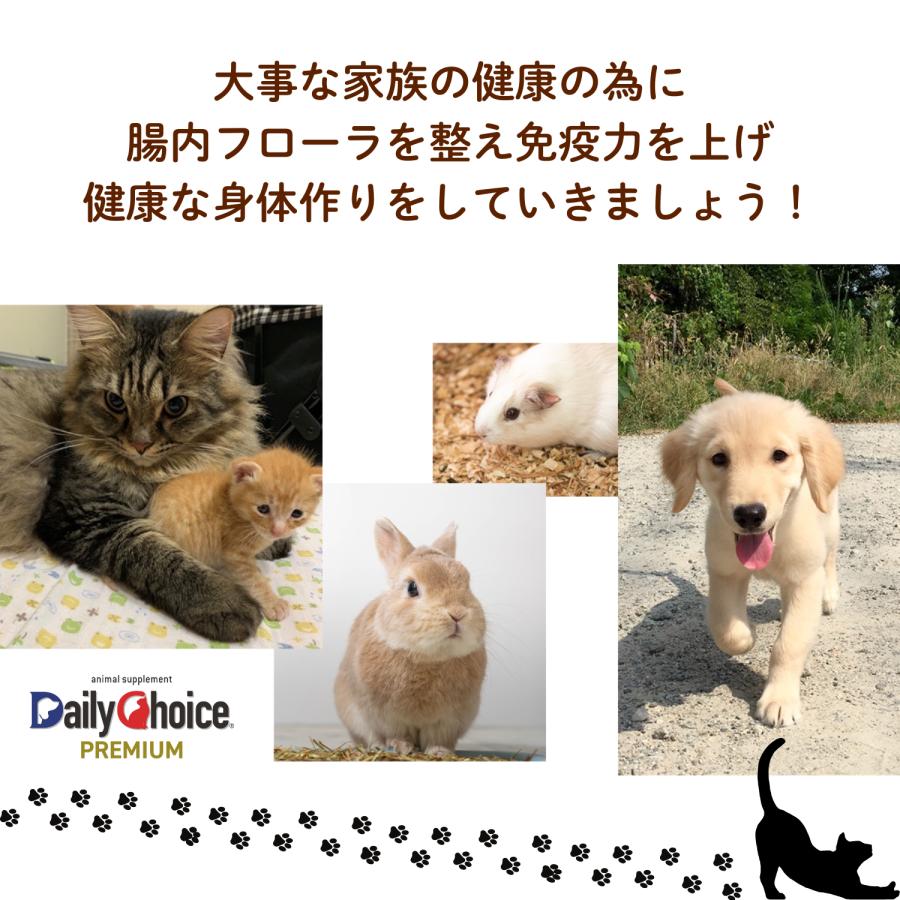ディリーチョイス 犬 猫 フード 腸活 サプリ 免疫力 爆買 うんち臭い 口くさい 腸内ケア ねこ ペット ハローマート | ブランド登録なし | 12