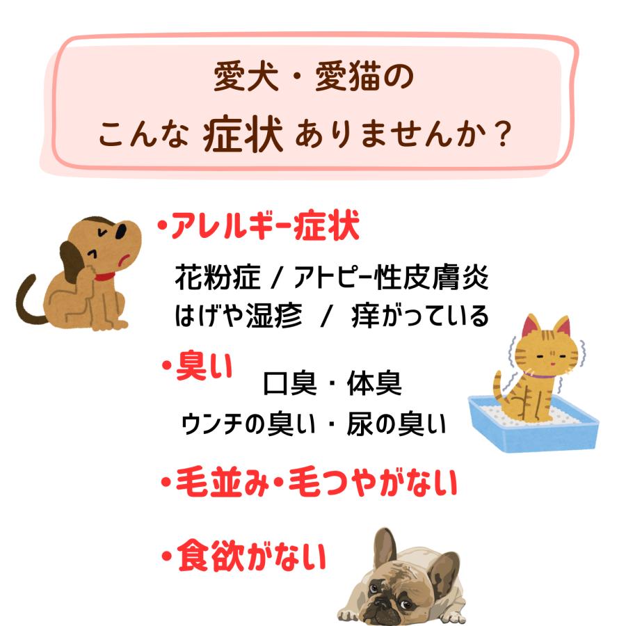 ディリーチョイス 犬 猫 フード 腸活 サプリ 免疫力 爆買 うんち臭い 口くさい 腸内ケア ねこ ペット ハローマート | ブランド登録なし | 02