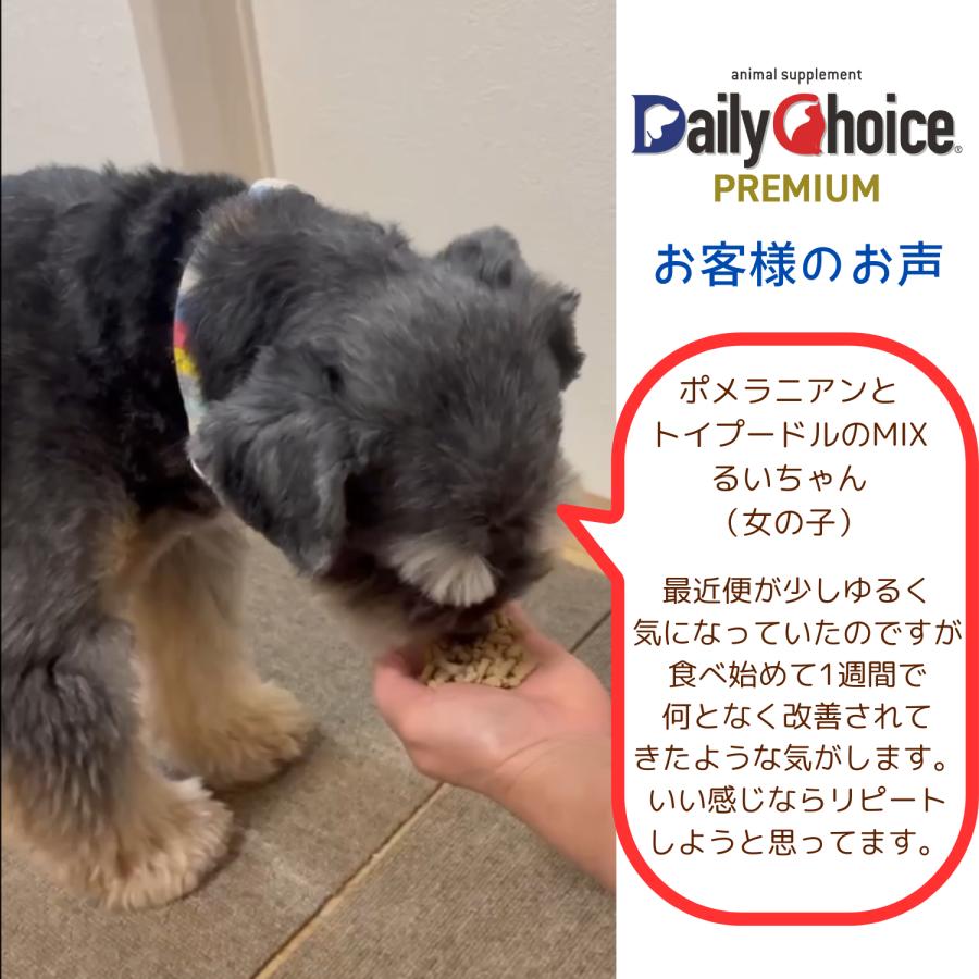 犬 猫 フード 腸活 サプリ 免疫力 爆買 うんち臭い 口くさい ディリーチョイス 腸内ケア ねこ ペット ハローマート | ブランド登録なし | 09