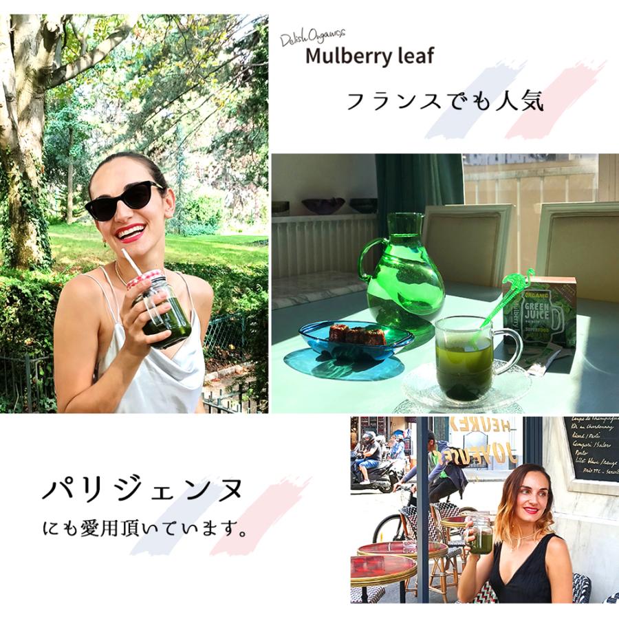 桑の葉 粉末 サプリ 苦くない パウダー 国産 ダイエット 青汁 緑茶 血糖値 糖質 マルベリーリーフ ハローマート | ブランド登録なし | 03