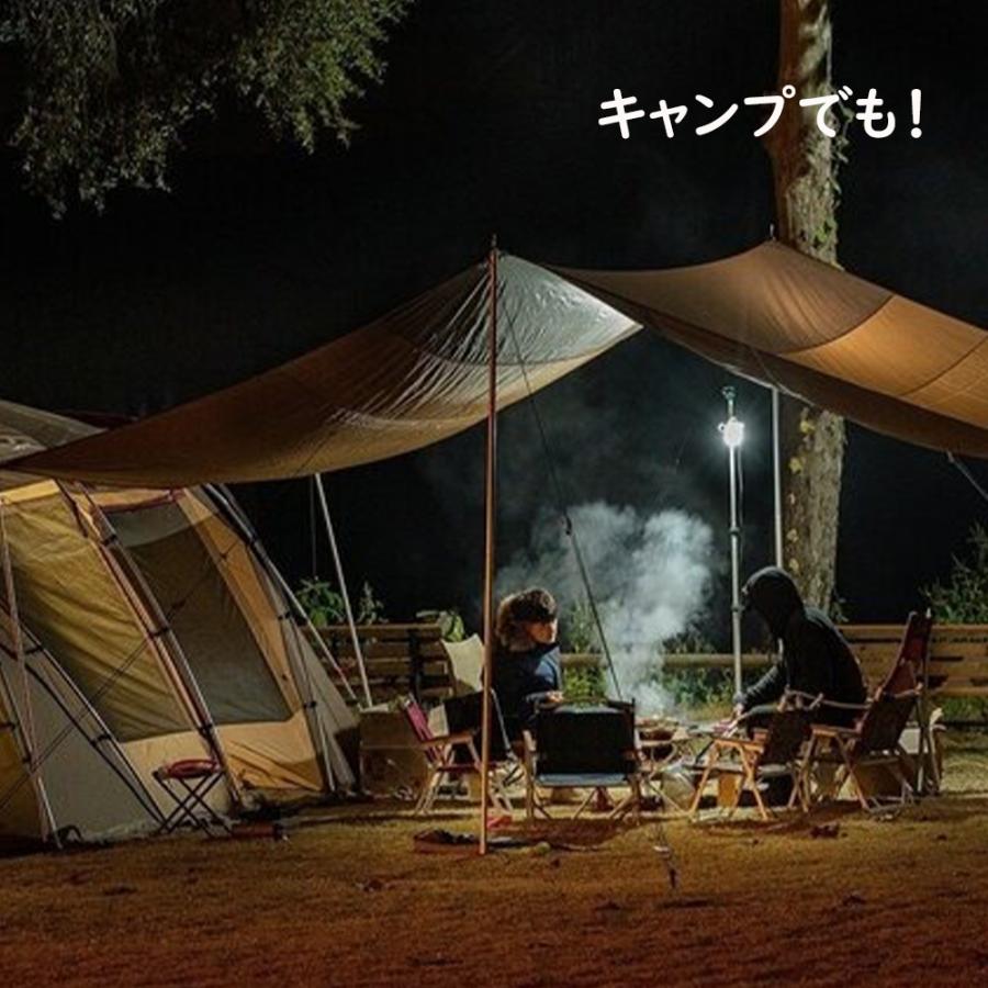 電気座布団 充電 ホットマット シート 爆買 折りたたみ 軽い 温熱 あたたか 犬 猫 キャンプ アウトドア 観戦 温い IROMUKUN | ブランド登録なし | 08