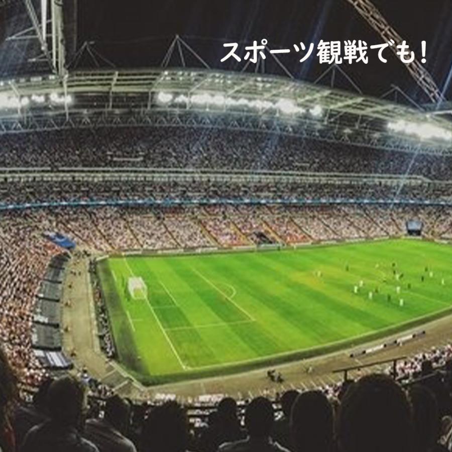 電気座布団 充電 ホットマット シート 爆買 折りたたみ 軽い 温熱 あたたか 犬 猫 キャンプ アウトドア 観戦 温い IROMUKUN | ブランド登録なし | 09