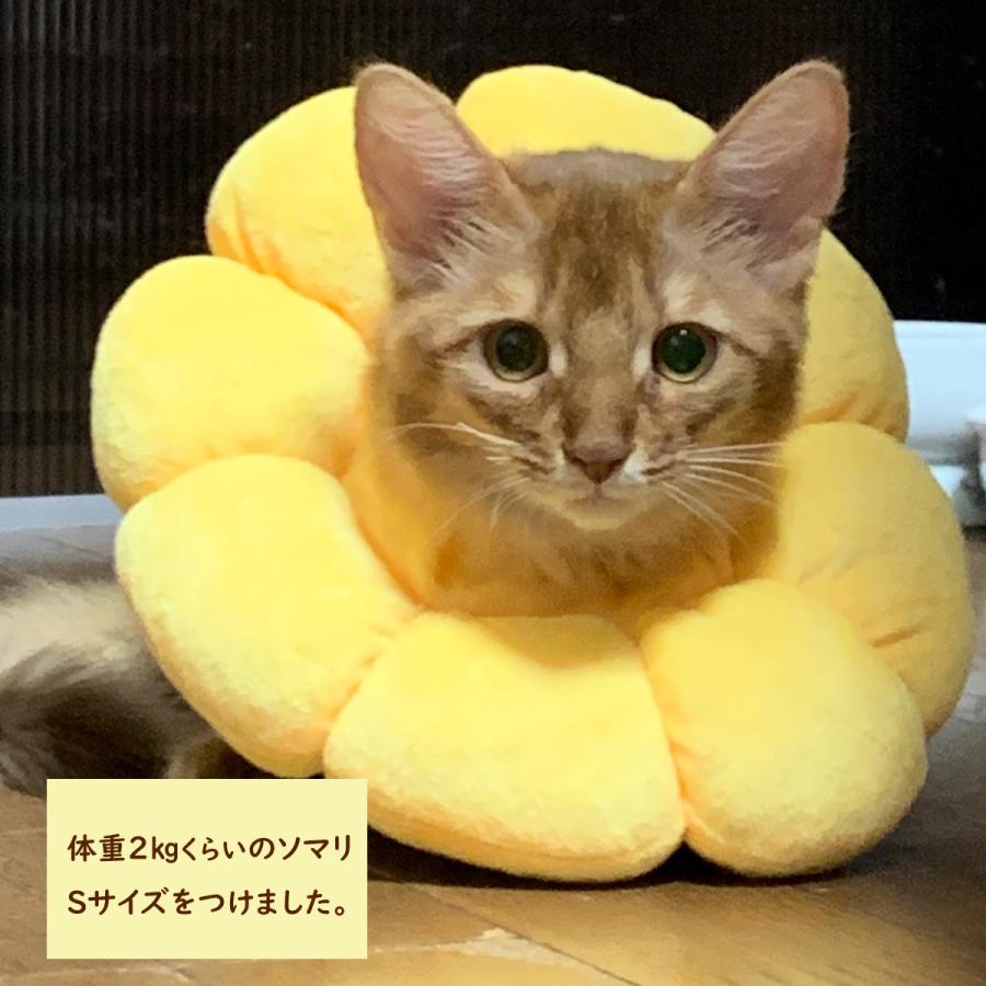 お気に入 エリザベスカラー 傷舐め防止 猫用 去勢手術 軽量 ペット用品 S ひまわり エリザベスカラー ペット 傷口保護 Sサイス ひまわり型 猫