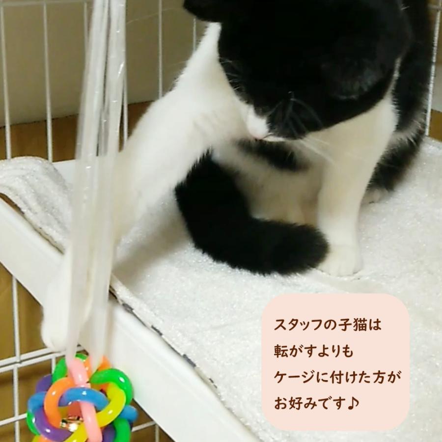 犬 おもちゃ 鈴入り ボール 5.5CM 小型犬 いぬ 猫 ゴムボール 噛む玩具  ストレス | ブランド登録なし | 02