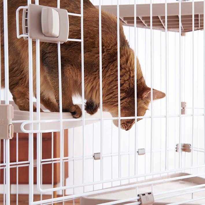 猫 キャット ケージ 2段 ボンビアルコン ウッドワンサークルキャットワイドドア ねこ | ボンビアルコン | 05