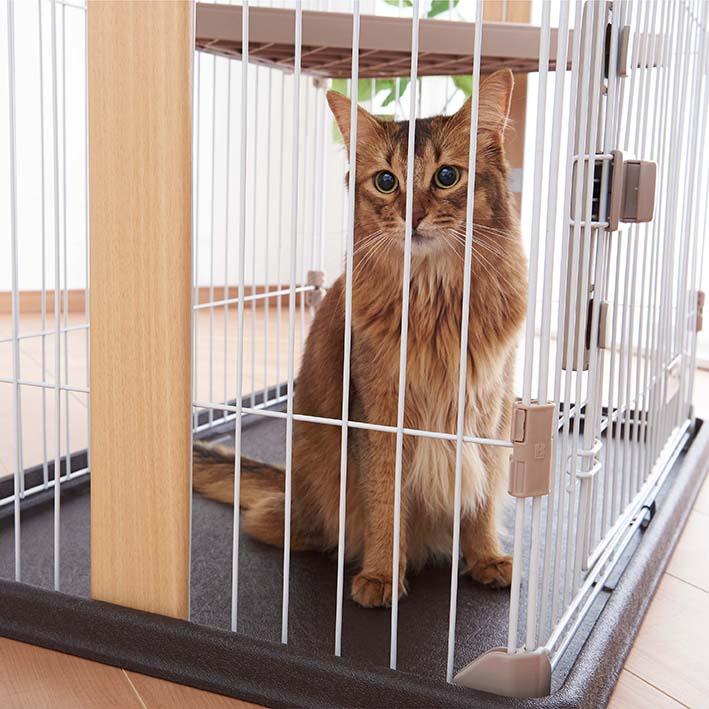 猫 キャット ケージ 2段 ボンビアルコン ウッドワンサークルキャットワイドドア ねこ | ボンビアルコン | 04