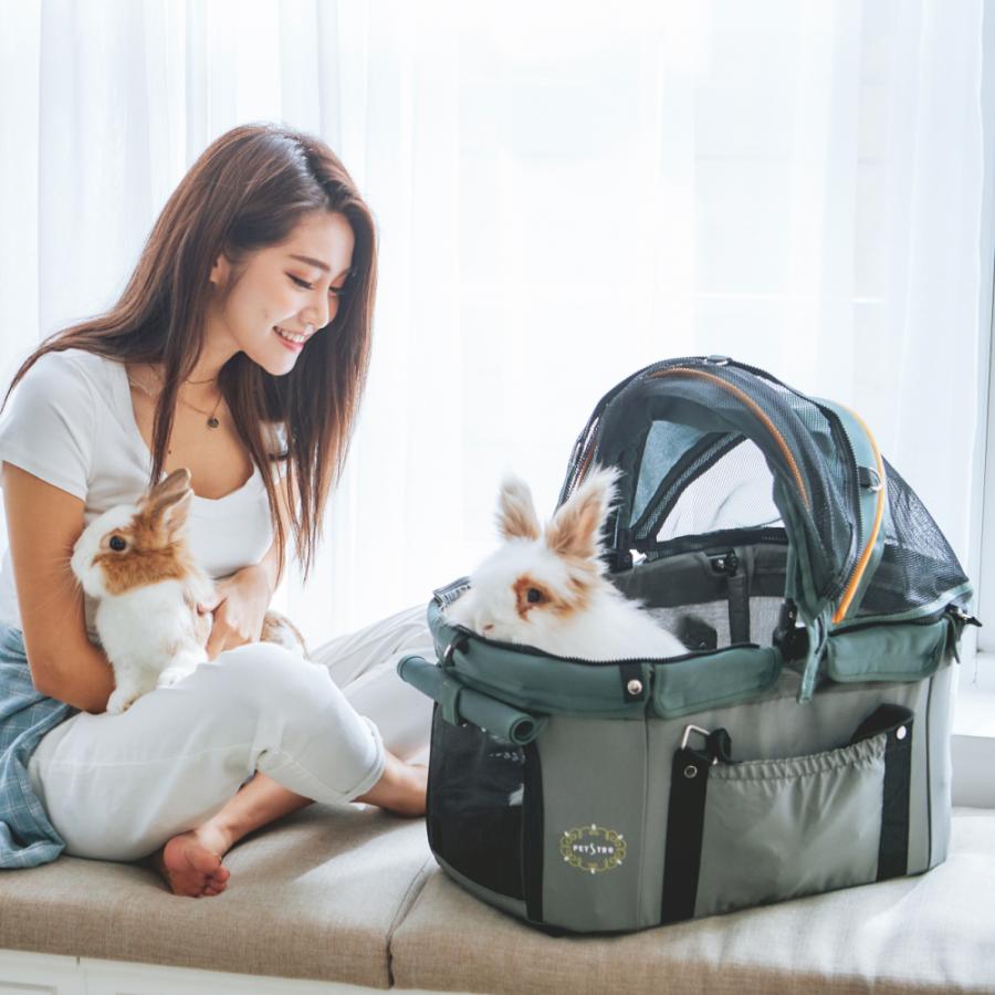 ペットカート 取り外し可能 軽量 折りたたみ 分離型 ペットバギー ディアスイートハート グリーン | FANTASY WORLD | 05