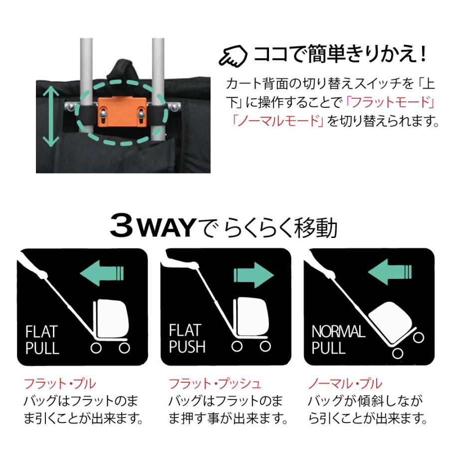 ペット カート 小型 中型 取り外し 折りたたみ 分離 バッグ リュック 車 バギー スイートハート L ブラック | FANTASY WORLD | 03