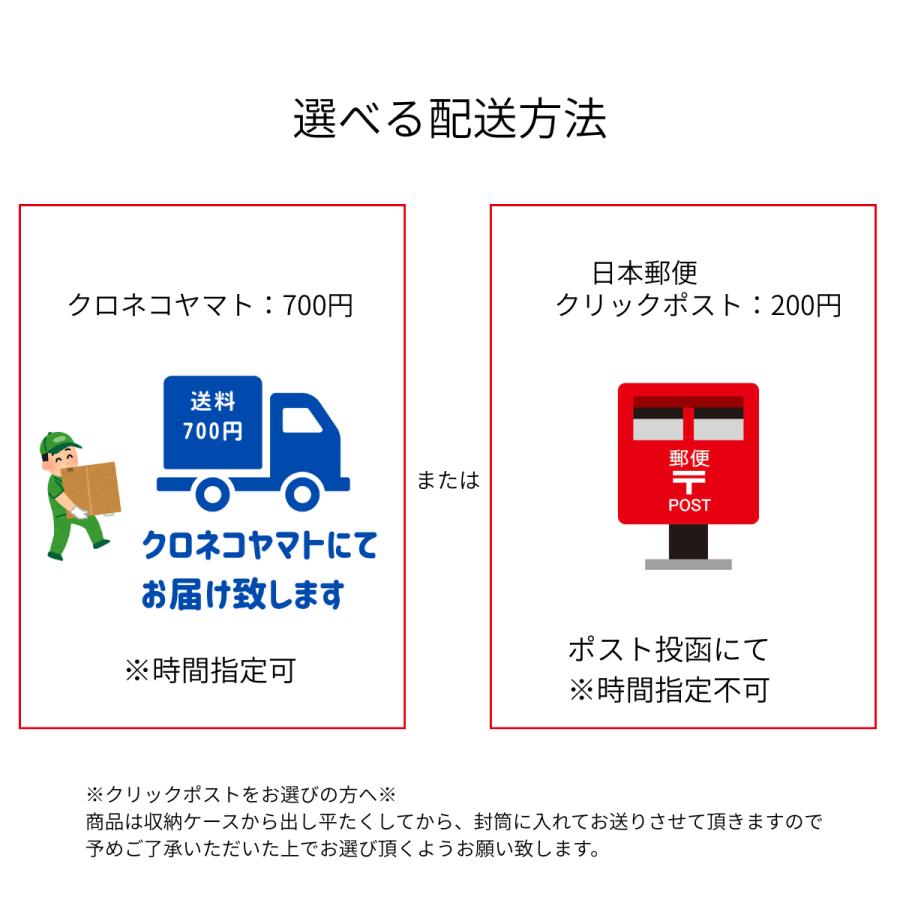 レジャーシート 1人用 折りたたみ コンパクト 防水 撥水 爆買 携帯 アウトドア BLOOM ハローマート | SOLCION | 13