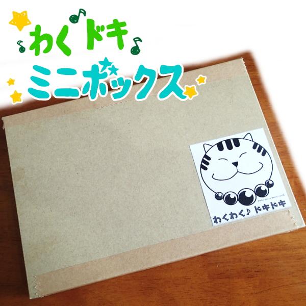 1000-《わく♪ドキ☆ミニボックス》☆いろいろ詰め合わせ☆クリックポスト送料無料♪（同梱不可） | 