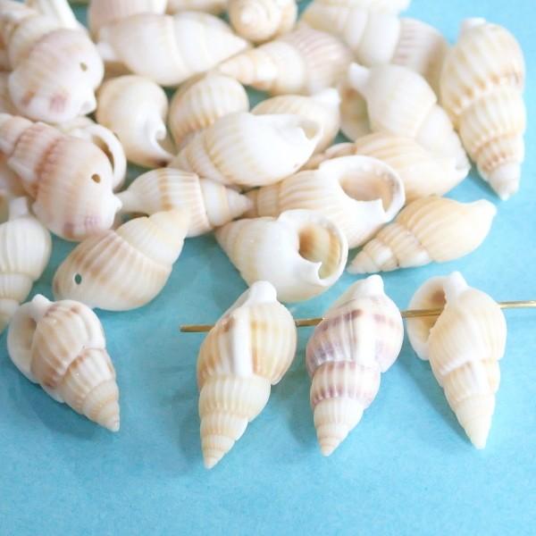 11640-『シェル』　ＤＥＣＯパーツ　シェルＭＩＸ　２０ｘ１０mm（平均）　約３５個/１パック |  | 01