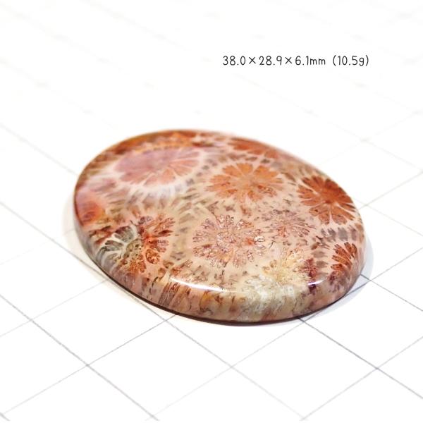 1221-『天然石ルース』　フォシルコーラル（ホール無）　約３８ｘ２９mm（１０．５ｇ）　１個 |  | 01