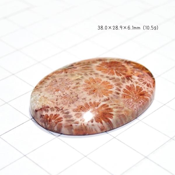 1221-『天然石ルース』　フォシルコーラル（ホール無）　約３８ｘ２９mm（１０．５ｇ）　１個 |  | 02