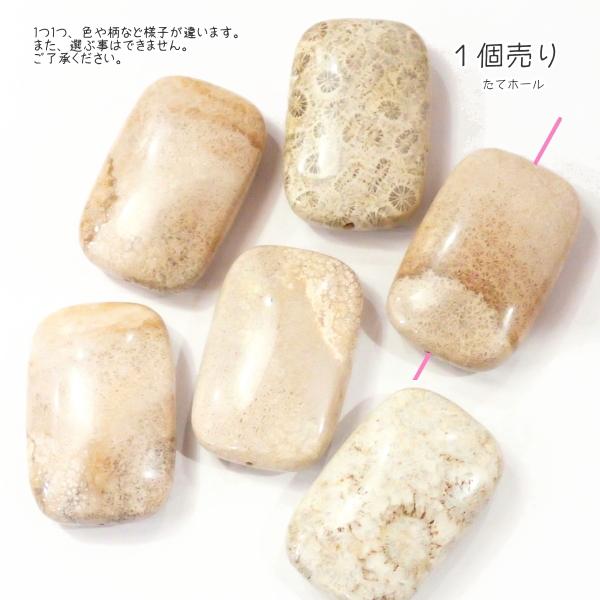 30025-《天然石いろいろ》　フォシルコーラル　長方形　３８x２５mm平均　１個 |  | 01