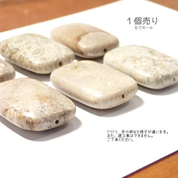 30025-《天然石いろいろ》　フォシルコーラル　長方形　３８x２５mm平均　１個 |  | 02