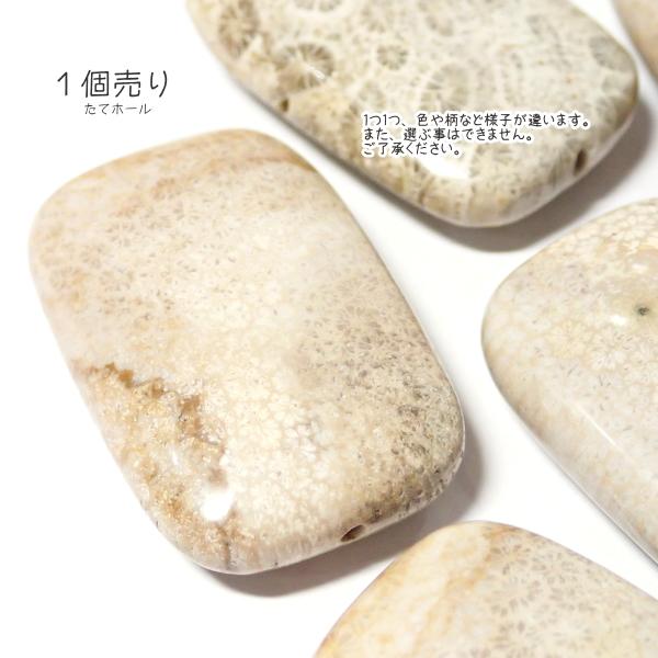 30025-《天然石いろいろ》　フォシルコーラル　長方形　３８x２５mm平均　１個 |  | 03