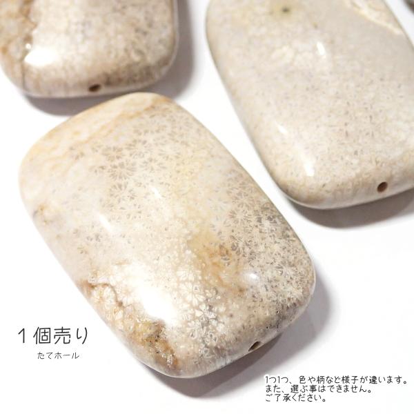 30025-《天然石いろいろ》　フォシルコーラル　長方形　３８x２５mm平均　１個 |  | 04
