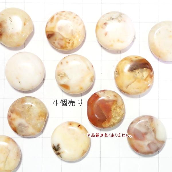 4079-《５０円均一》　天然石　ジャスパー（処分品）　２０mm　４個/１パック |  | 01