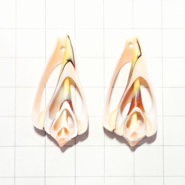 4105-『シェル』　トップホール　スライス　縦４．０cm未満（小）　２個/１パック | 