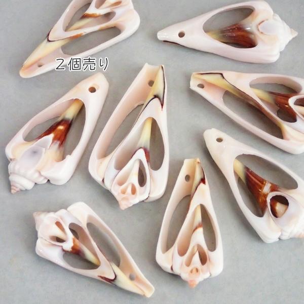 4105-『シェル』　トップホール　スライス　縦４．０cm未満（小）　２個/１パック |  | 01