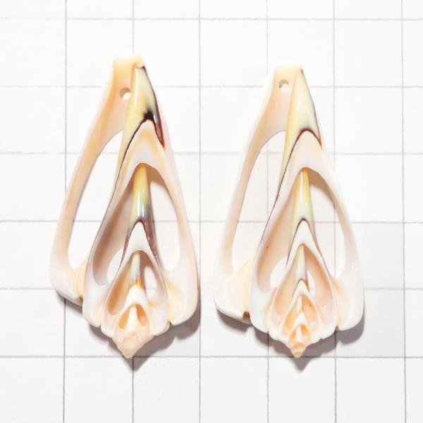 4106-『シェル』　トップホール　スライス　縦４．０cm以上４．５cm未満（中）　２個/１パック | 