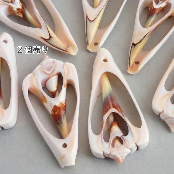 4106-『シェル』　トップホール　スライス　縦４．０cm以上４．５cm未満（中）　２個/１パック |  | 01