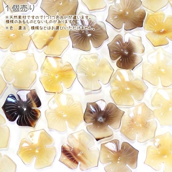4907-［アフリカ水牛］　フラワー（３枚花びら）　４０mm平均　１個 |  | 01
