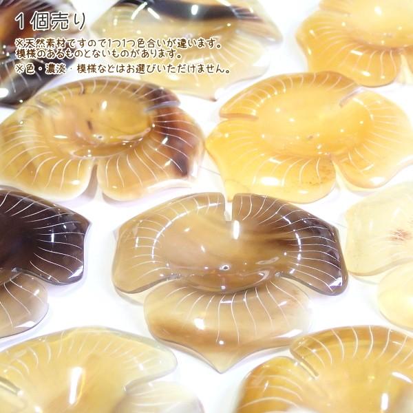 5001-［アフリカ水牛］　フラワー（３枚花びら）　６０mm平均　１個 | 