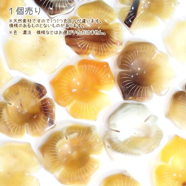 5001-［アフリカ水牛］　フラワー（３枚花びら）　６０mm平均　１個 |  | 01