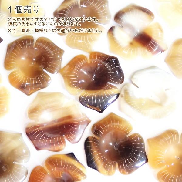 5001-［アフリカ水牛］　フラワー（３枚花びら）　６０mm平均　１個 |  | 02