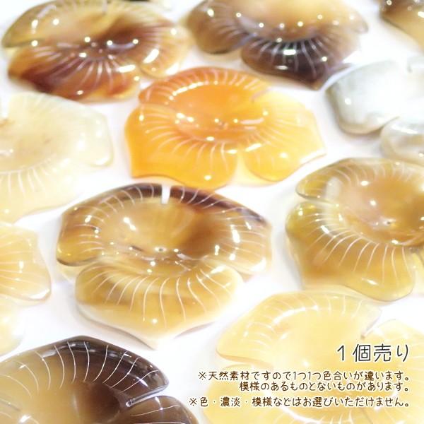 5001-［アフリカ水牛］　フラワー（３枚花びら）　６０mm平均　１個 |  | 03