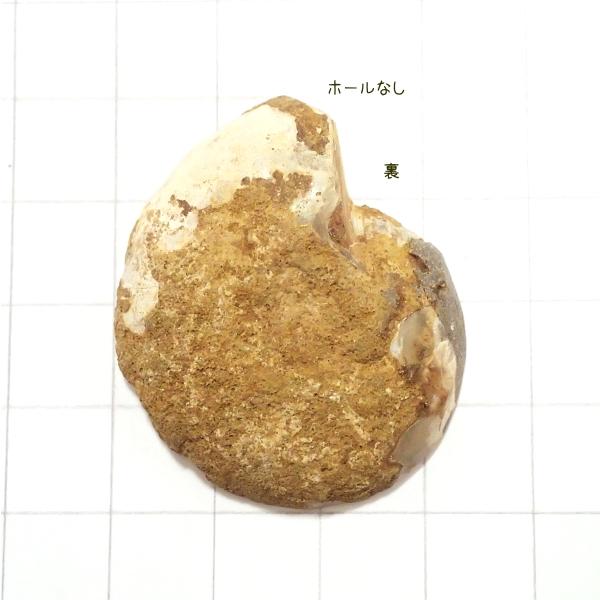 5008-『天然石ルース』　アンモナイト（ホール無）　約４０ｘ３３mm（１４．８ｇ）　１個 |  | 01