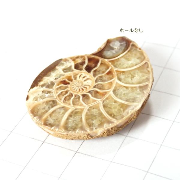 5008-『天然石ルース』　アンモナイト（ホール無）　約４０ｘ３３mm（１４．８ｇ）　１個 |  | 02
