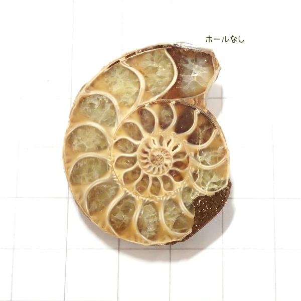 5009-『天然石ルース』　アンモナイト（ホール無）　約４０ｘ３４mm（１６．１ｇ）　１個 | 