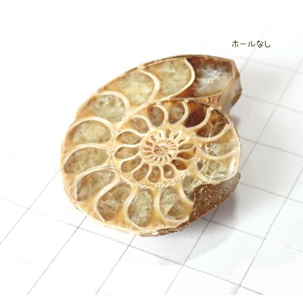 5009-『天然石ルース』　アンモナイト（ホール無）　約４０ｘ３４mm（１６．１ｇ）　１個 |  | 02