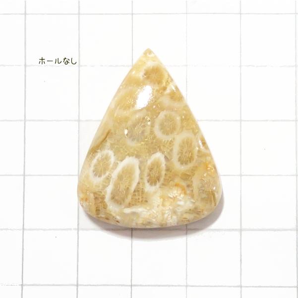 5011-『天然石ルース』　フォシルコーラル（ホール無）　約３３ｘ２６mm（８．２ｇ）　１個 | 