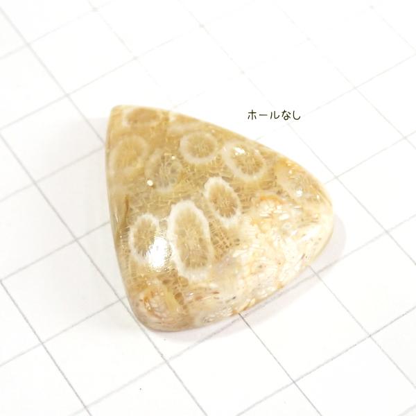 5011-『天然石ルース』　フォシルコーラル（ホール無）　約３３ｘ２６mm（８．２ｇ）　１個 |  | 01