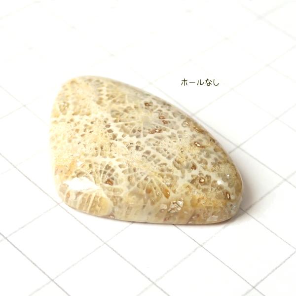 5018-『天然石ルース』　フォシルコーラル（ホール無）　約３７ｘ２５mm（１０ｇ）　１個 |  | 01