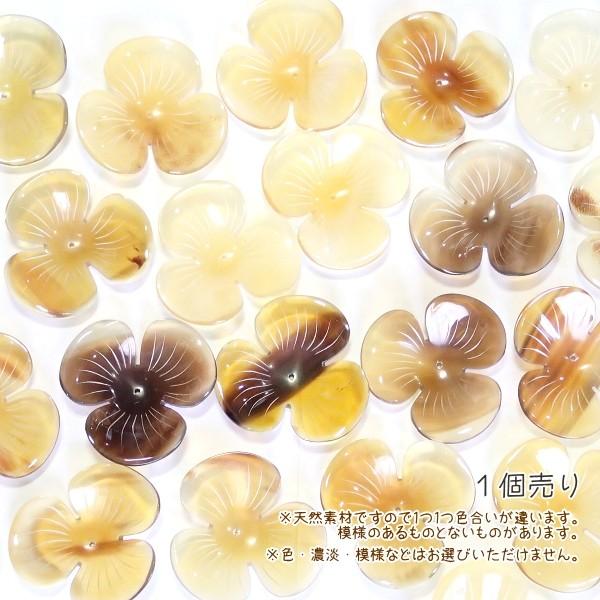 5265-［アフリカ水牛］　フラワー（３枚花びら）　４５mm平均　１個 |  | 01