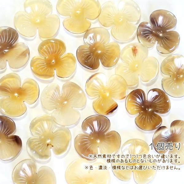 5265-［アフリカ水牛］　フラワー（３枚花びら）　４５mm平均　１個 |  | 02